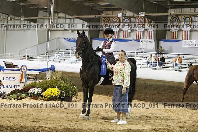 Proof Number 11acd_091