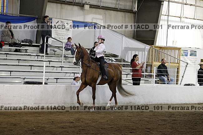 Proof Number 11acd_101