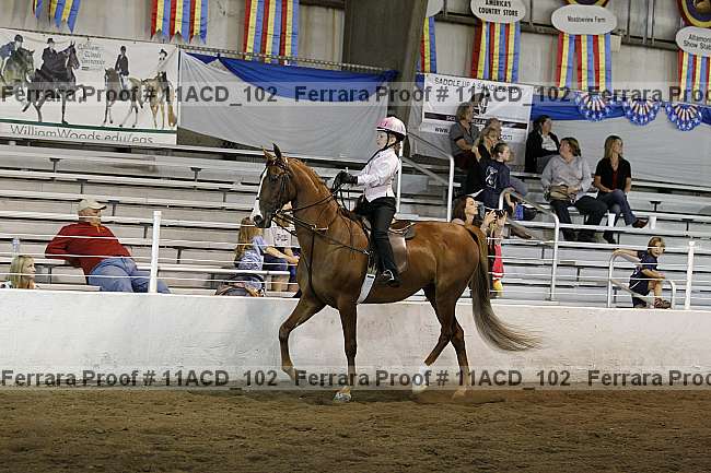 Proof Number 11acd_102