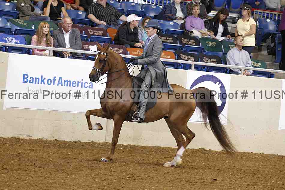 Proof Number 11usn_07003