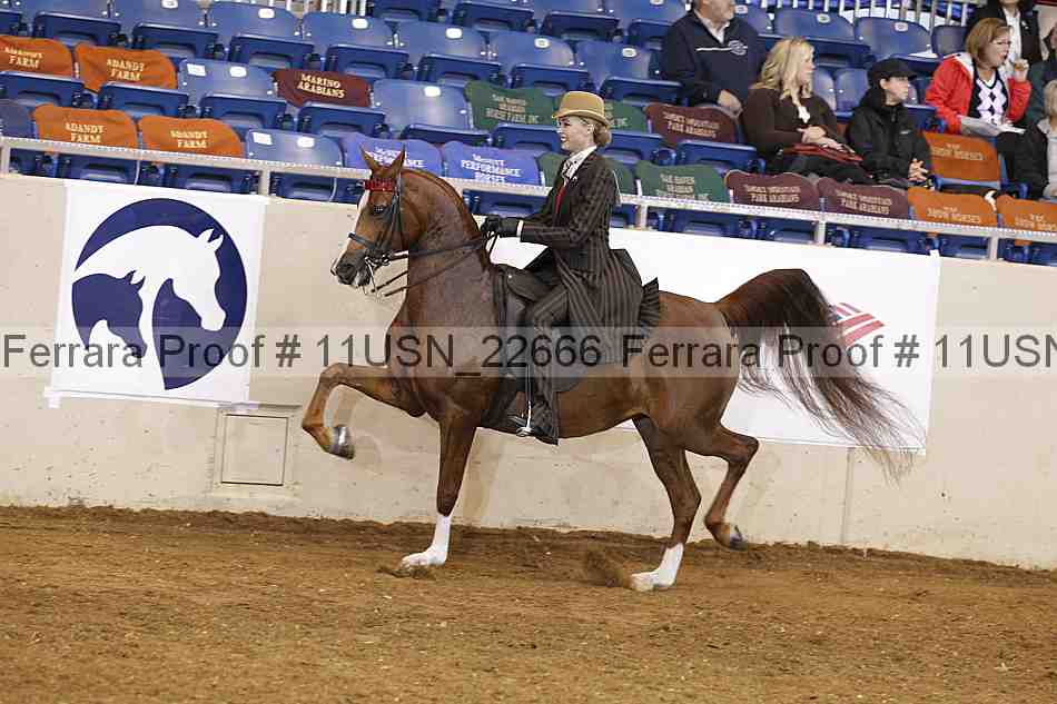 Proof Number 11usn_22666