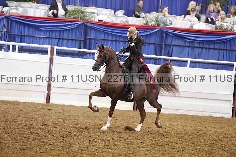 Proof Number 11usn_22761