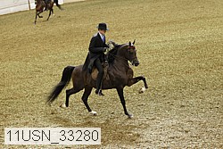 11usn_33280 thumbnail