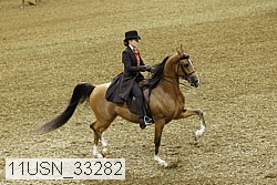 11usn_33282 thumbnail