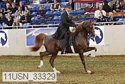 11usn_33329 thumbnail