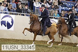 11usn_33345 thumbnail