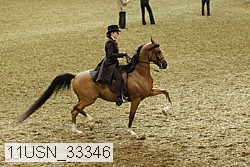 11usn_33346 thumbnail