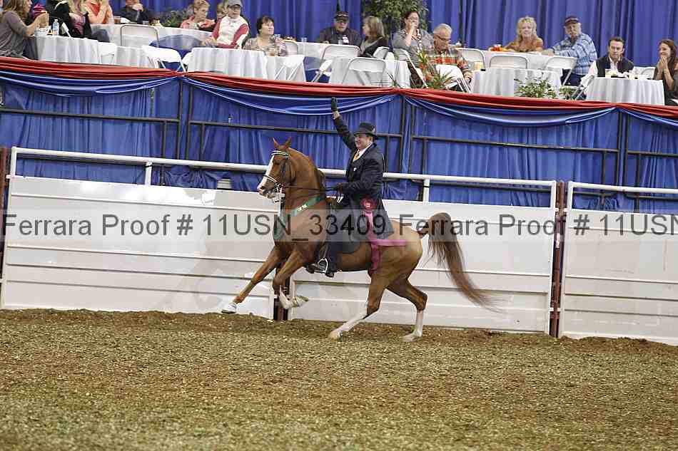 Proof Number 11usn_33409