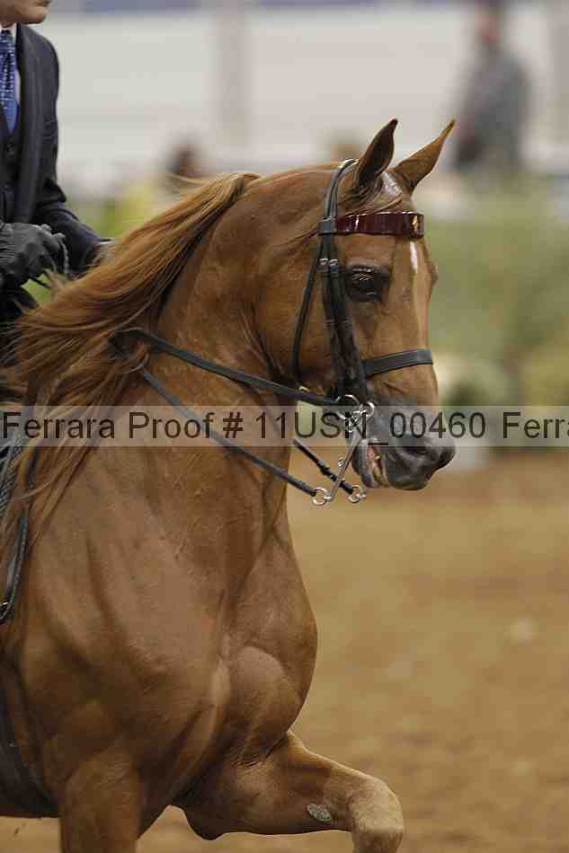 Proof Number 11usn_00460