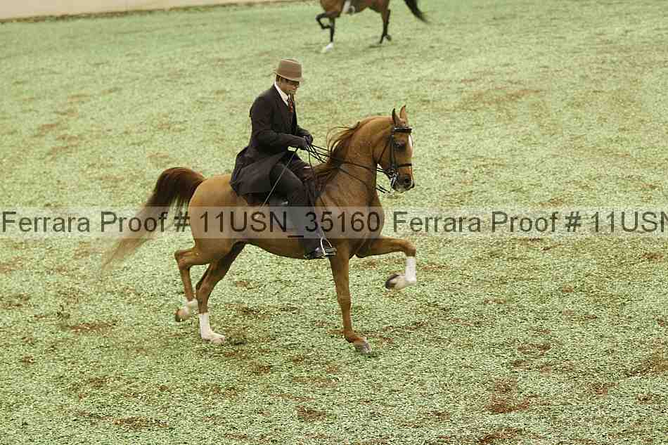 Proof Number 11usn_35160