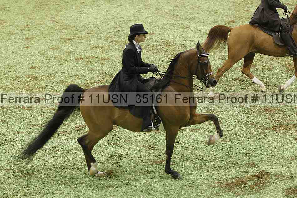 Proof Number 11usn_35161