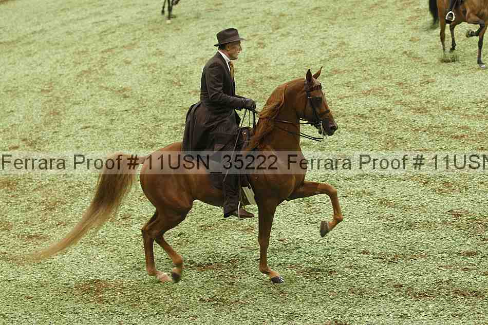 Proof Number 11usn_35222