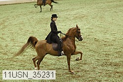 11usn_35231 thumbnail