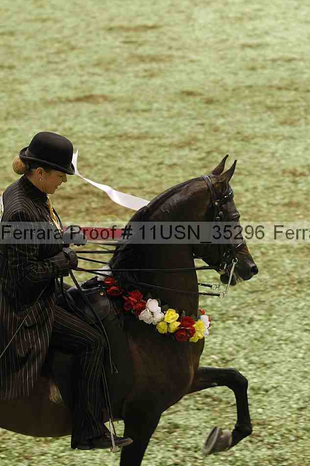 Proof Number 11usn_35296