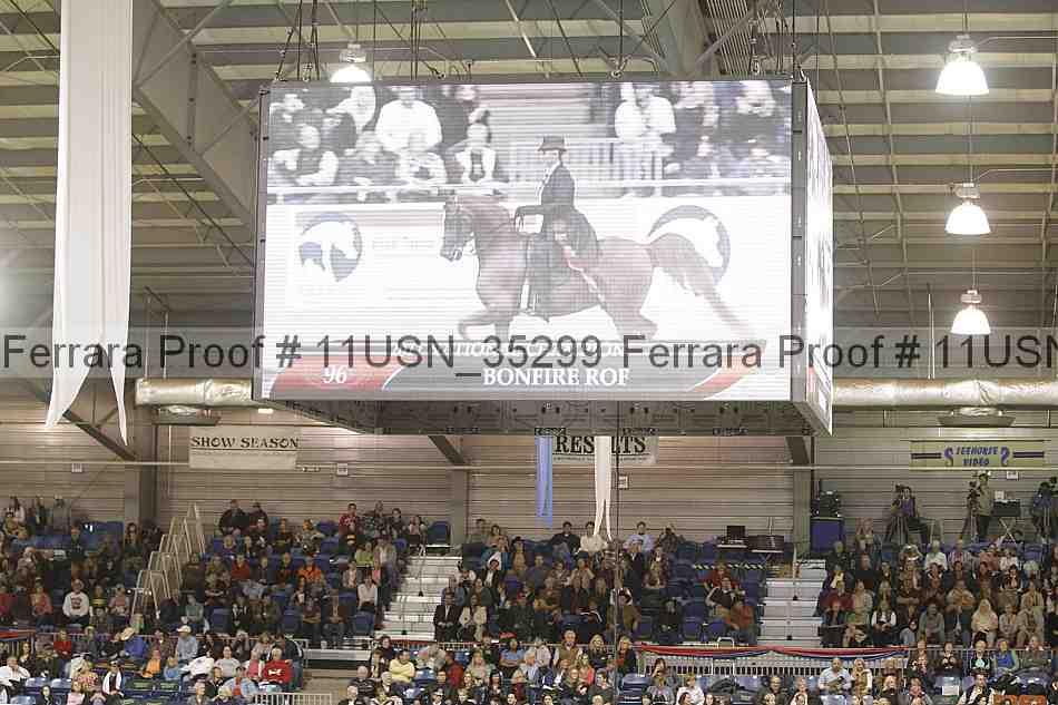 Proof Number 11usn_35299