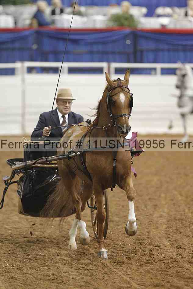 Proof Number 11usn_19956