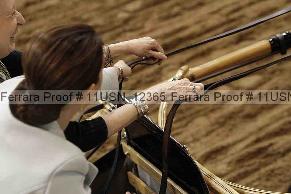Proof Number 11usn_12365