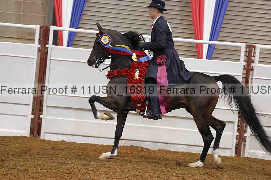 Proof Number 11usn_16919