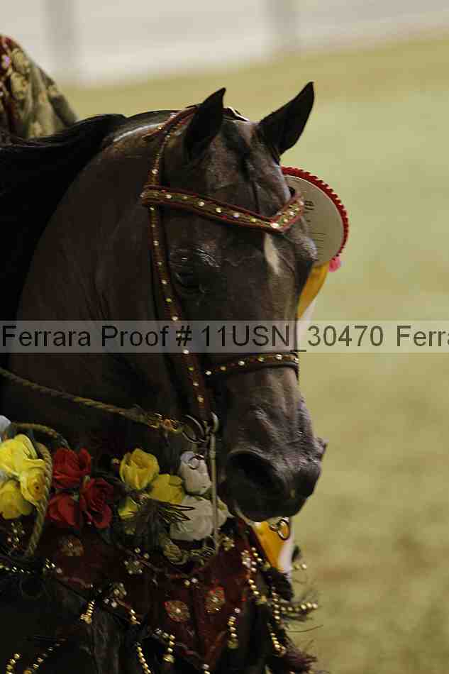 Proof Number 11usn_30470