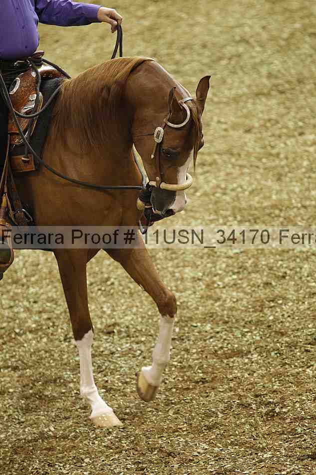 Proof Number 11usn_34170