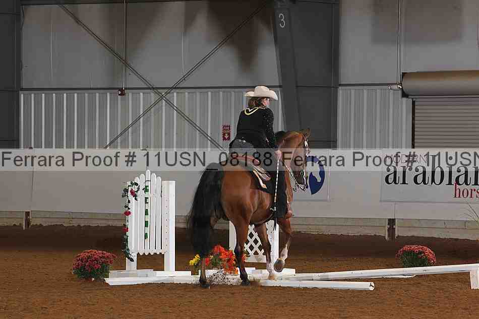 Proof Number 11usn_08188