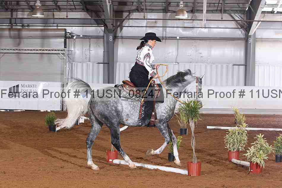Proof Number 11usn_08247