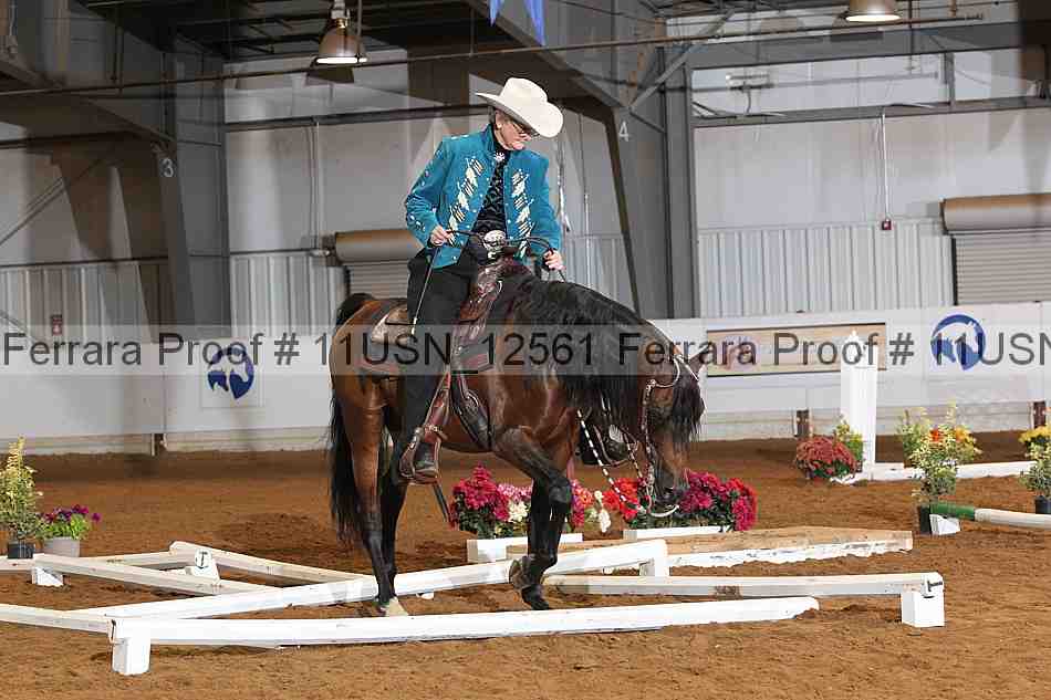 Proof Number 11usn_12561