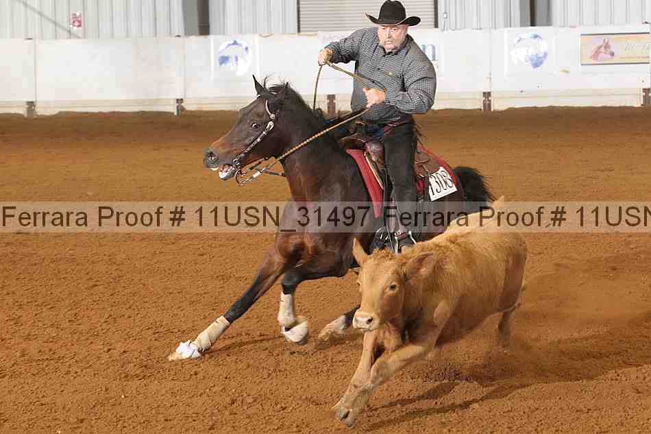 Proof Number 11usn_31497