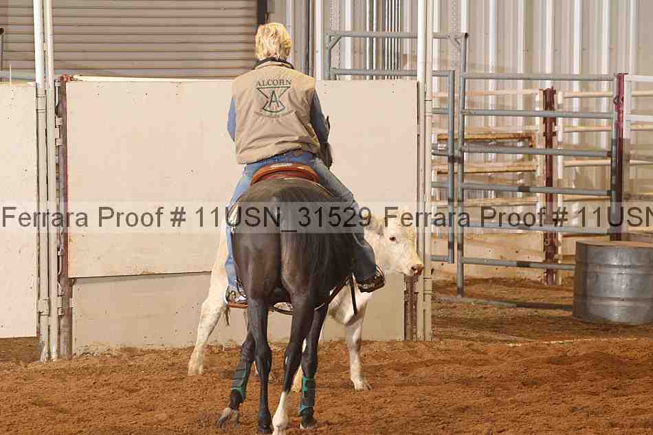 Proof Number 11usn_31529