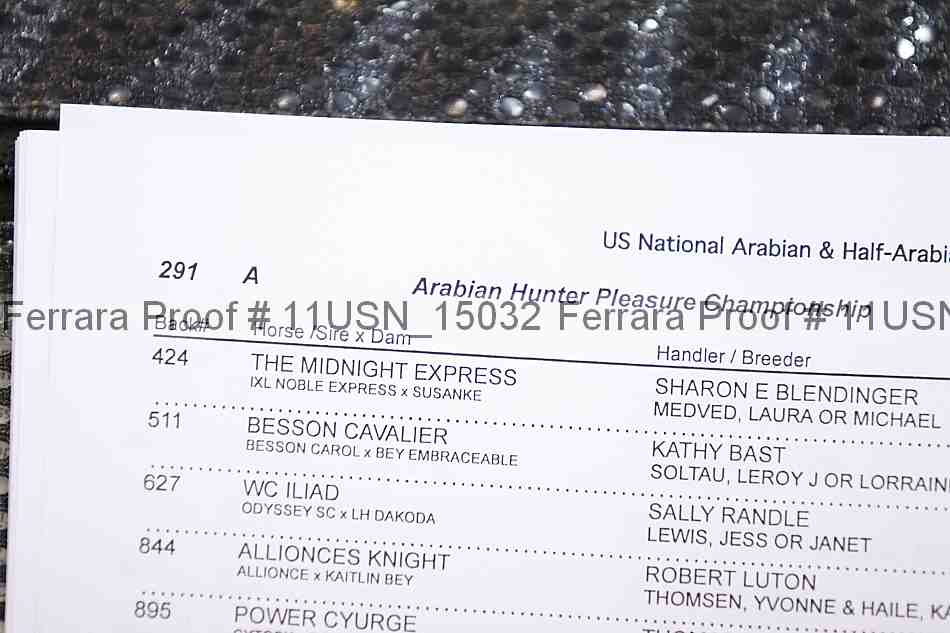 Proof Number 11usn_15032