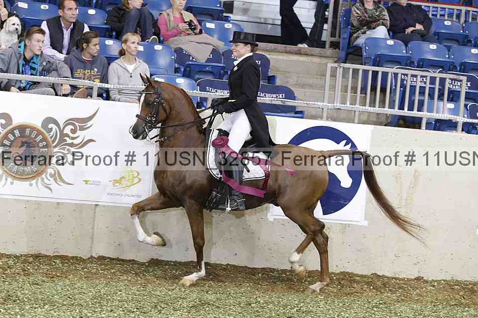 Proof Number 11usn_32857