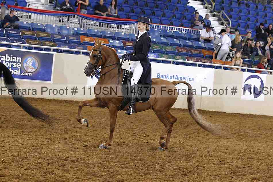 Proof Number 11usn_14570