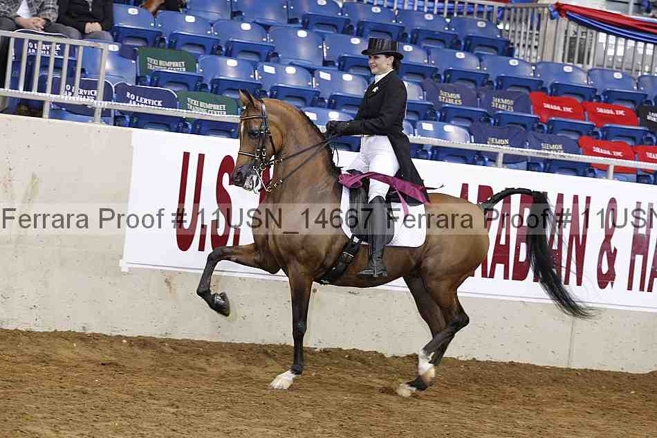 Proof Number 11usn_14667