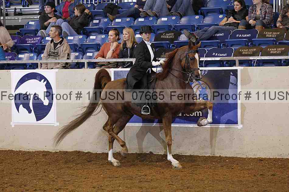 Proof Number 11usn_07665