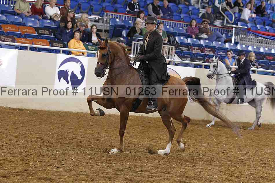 Proof Number 11usn_01263