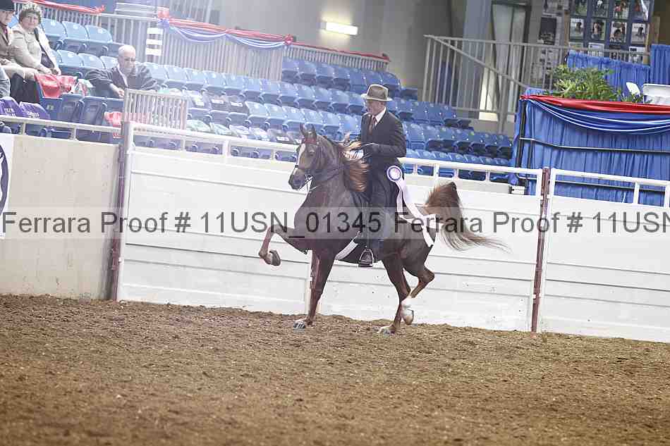 Proof Number 11usn_01345