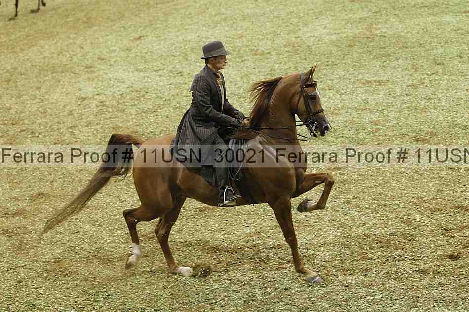 Proof Number 11usn_30021