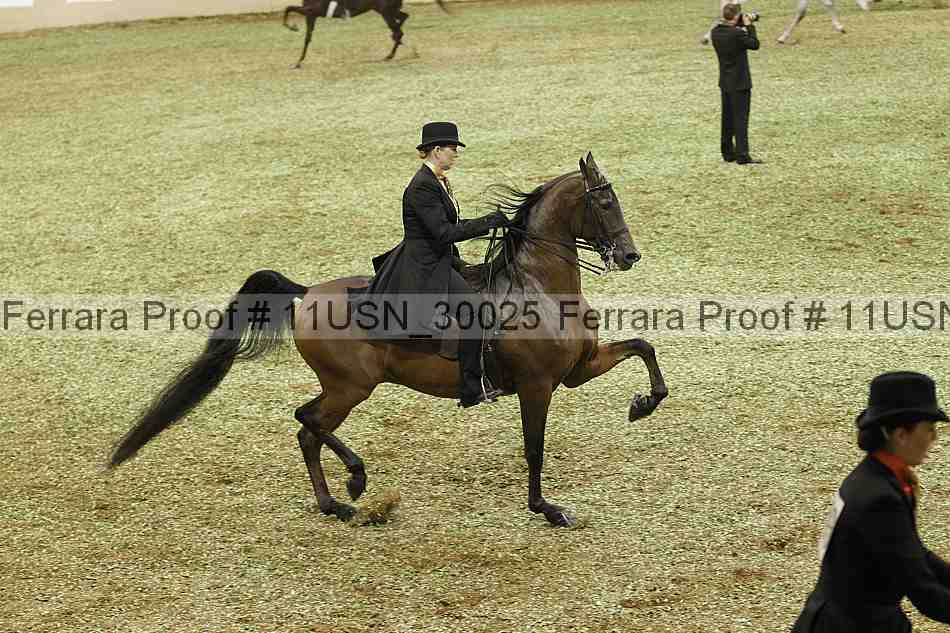 Proof Number 11usn_30025