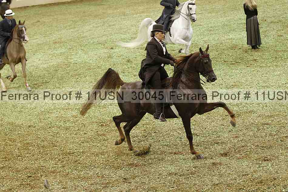 Proof Number 11usn_30045