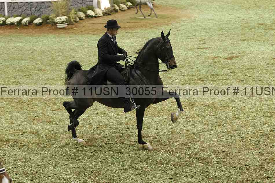 Proof Number 11usn_30055