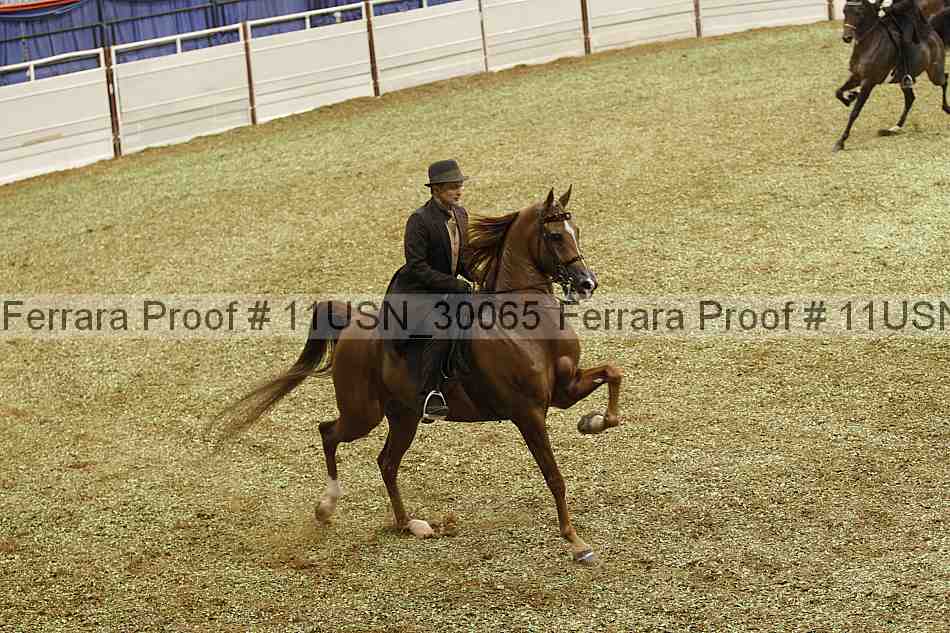 Proof Number 11usn_30065