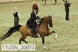 11usn_30073 thumbnail