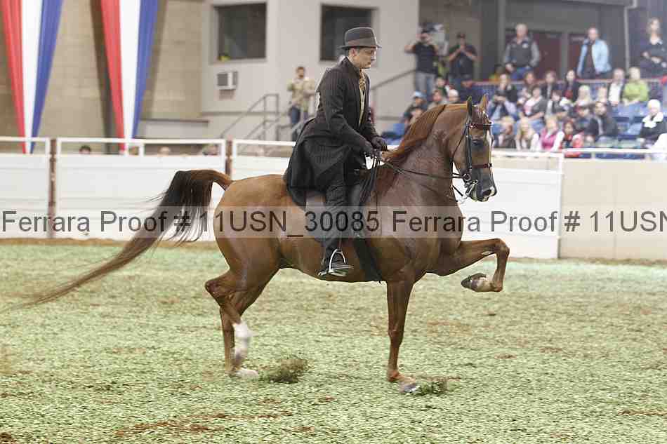 Proof Number 11usn_30085