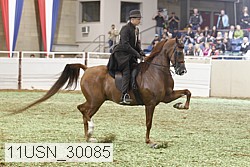 11usn_30085 thumbnail
