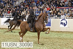 11usn_30090 thumbnail