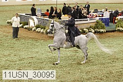 11usn_30095 thumbnail