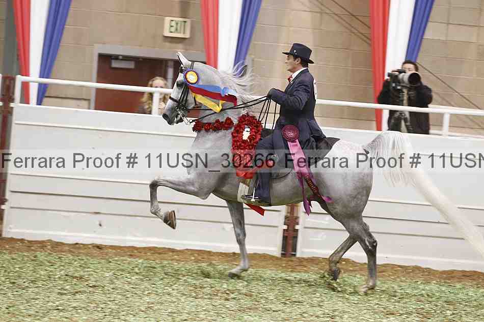 Proof Number 11usn_30266