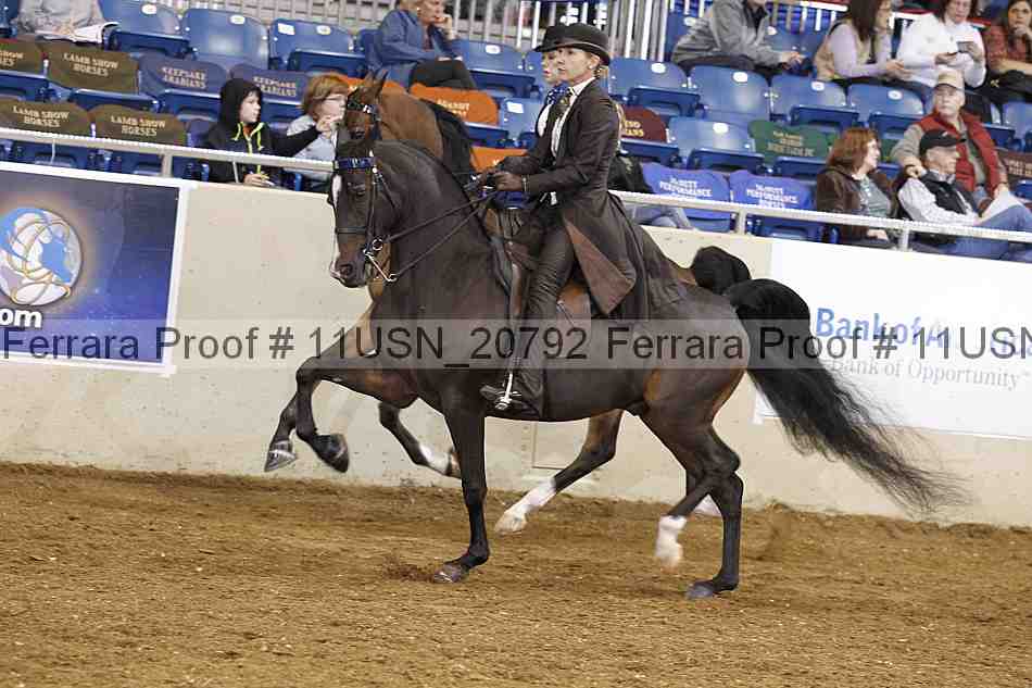 Proof Number 11usn_20792