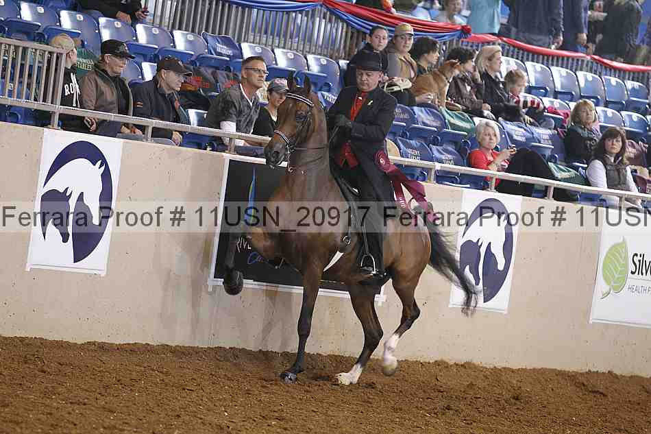 Proof Number 11usn_20917