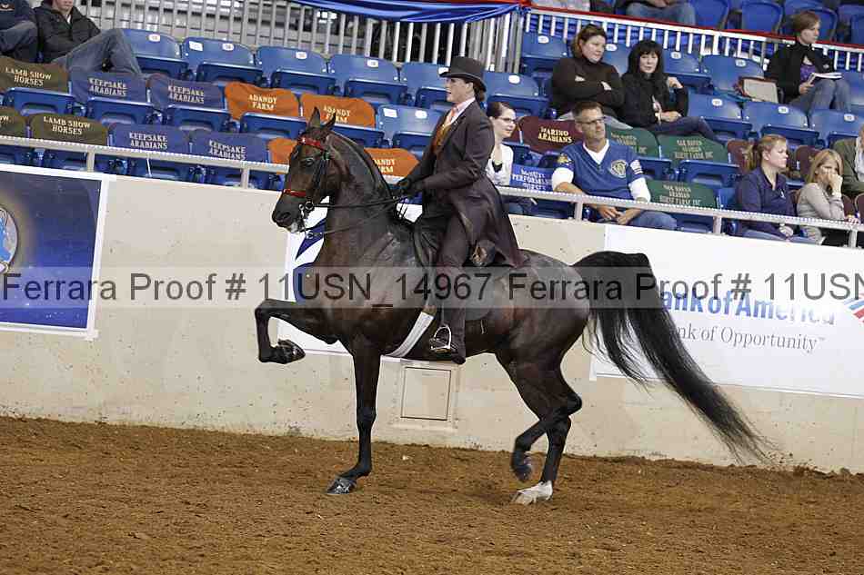 Proof Number 11usn_14967